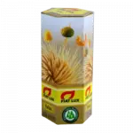 Palitos de Dente