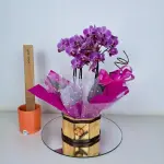 A446 Mini Orquidea "Delicadeza"