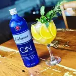 Gin Intencion London Dry 900ml