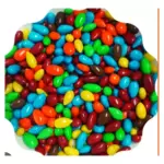 GIRASOL COLORES CHOCOLATE