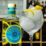 ITALIAN LEMON TONIC