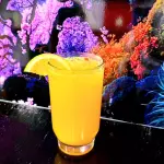 Naranja mango