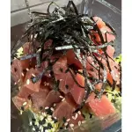 Tartar de Atun