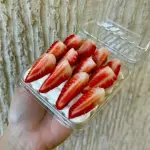 PAVÊ NINHO DUPLO COM MORANGO