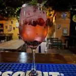 GIN TONIC FRUTOS ROJOS