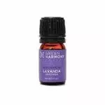 Lavanda a.e.