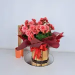 A432 Begonia "Cheia de Charme"