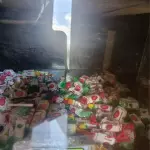 bala macia