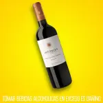 Vino Intipalka Reserva