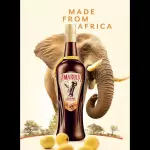 AMARULA (DOSE)