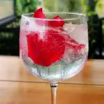 GIN & TONIC HENDRICK'S