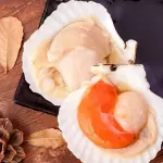 VIEIRAS EN SU CONCHA 扇贝