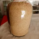 Proteína Vegana