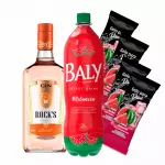 Combo Gin energético 2l