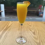Mimosa