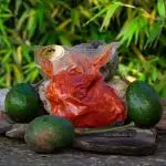 Costilla Adobada 1 Lb.