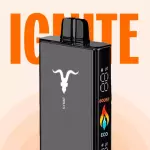 V250 BLACK - 25.000 PUFFS 💨