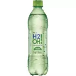 H20