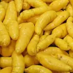 Batata Salsa 0,500g