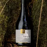 ArteViva Elementar Tannat 750ml