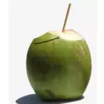 COCO VERDE