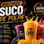 Suco de Polpa 300ML