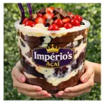 AÇAÍ de 2 litros