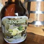 Coquetel de Gengibre Luiz Alves - 900ml
