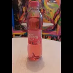 Gaseosa personal 400ml plastica