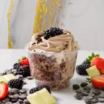 Tres Leche de Chocolate KETO