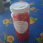 Pimenta biquinho - Ivonete