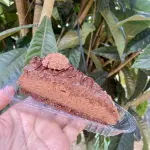 Torta Ferrero