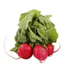 Organic radish