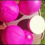 Queijo Tipo Bola 450g
