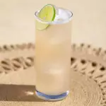 Paloma 1 Lt