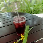TINTO DE VERANO