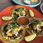 Tacos cochinita