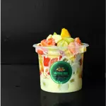 Salada de frutas 500 ml