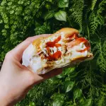 X BURGUINHO