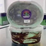 Sorvete de Chocomenta