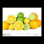 Suco de Fruta Natural 300 ml