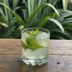 Gin Tonic
