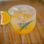 Gin tônica importado