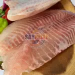 TILÁPIA
