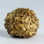 Bala dourada