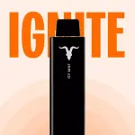 REFIL IGNITE P100