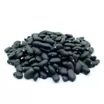 Poroto Negro