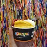 Gelato P (160g/ 180ml)