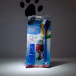 Juego de Pasta y Cepillo