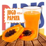 Jugo de Papaya 450ml